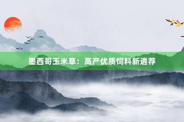 墨西哥玉米草：高产优质饲料新遴荐