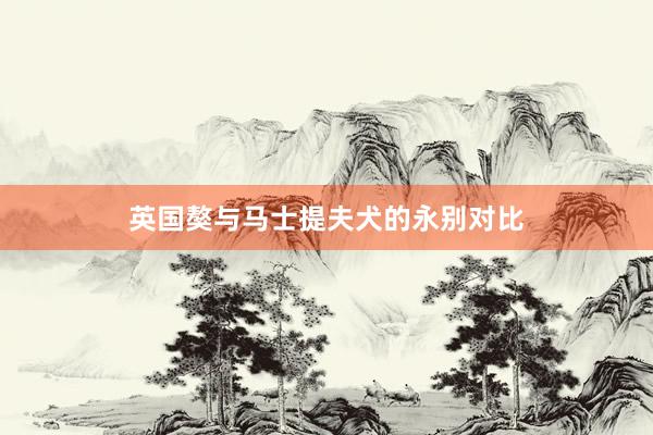 英国獒与马士提夫犬的永别对比