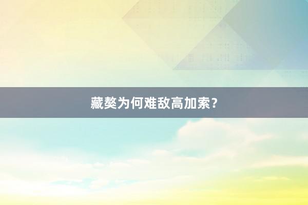 藏獒为何难敌高加索？