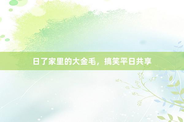 日了家里的大金毛,搞笑平日共享