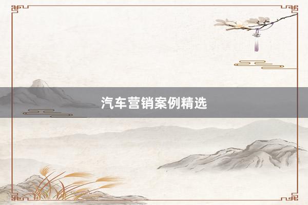 汽车营销案例精选